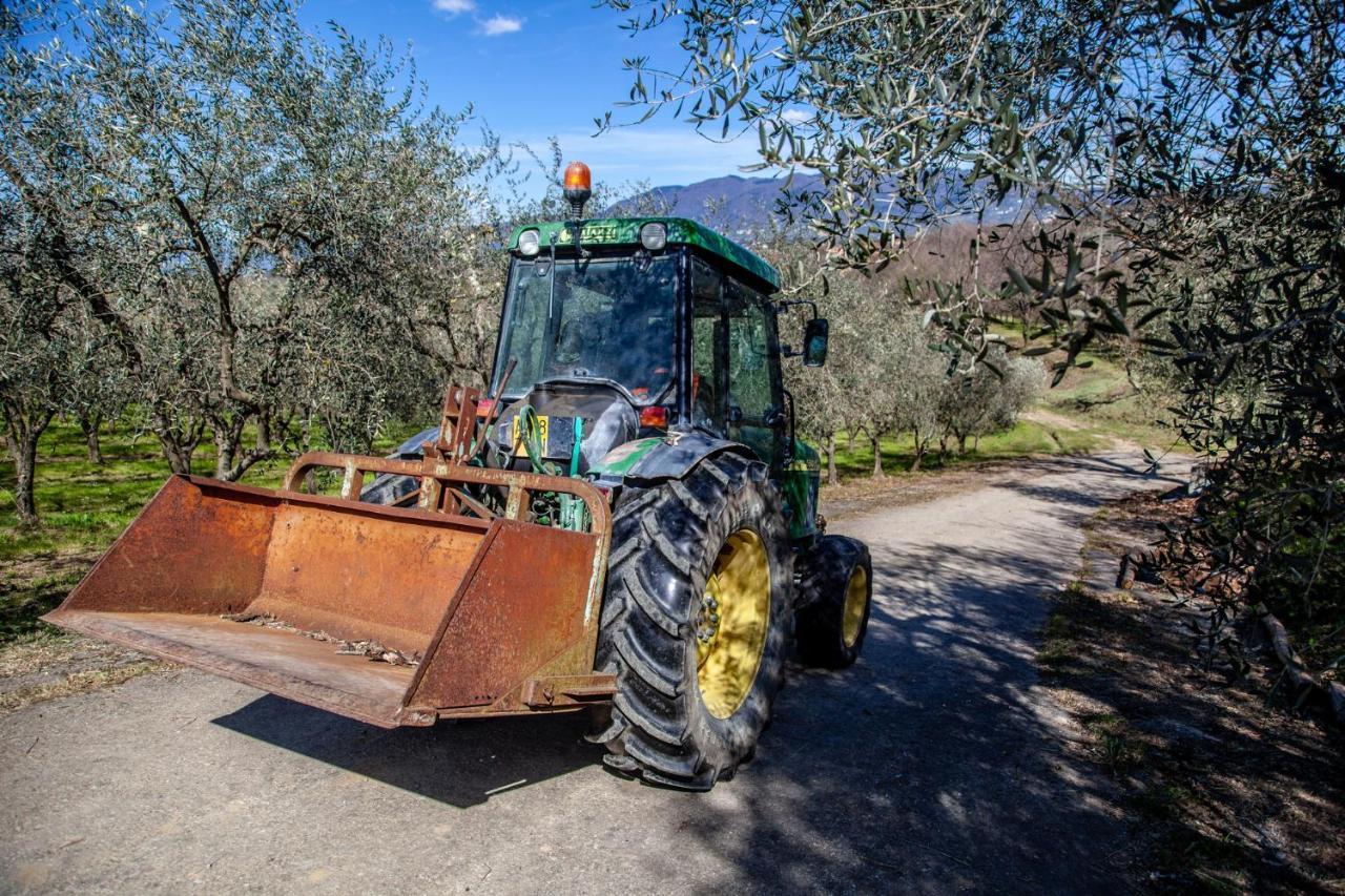 Locanda Agricola Posapiano Villa Montecarlo Exterior foto