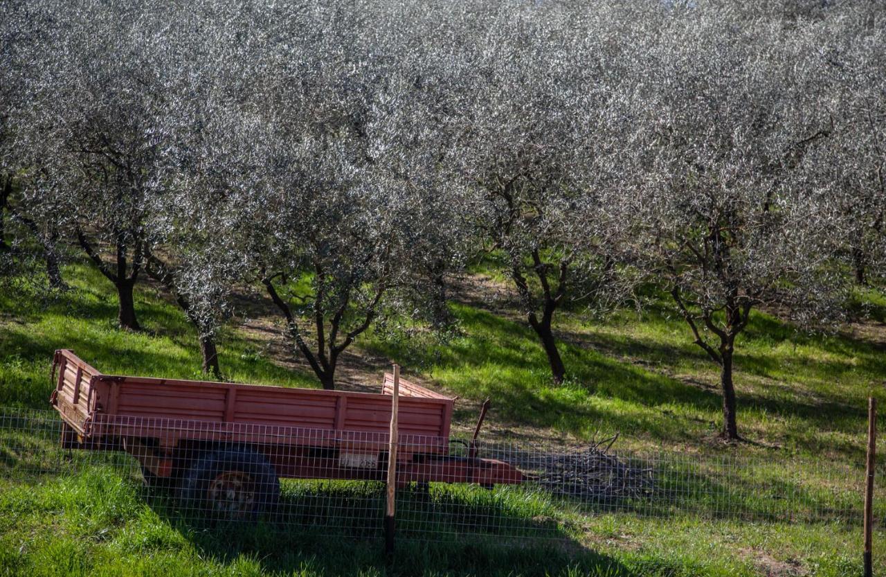 Locanda Agricola Posapiano Villa Montecarlo Exterior foto